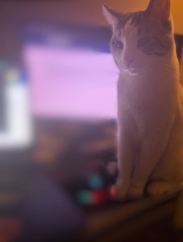 Employee Spotlight Darrie T. Cat 2