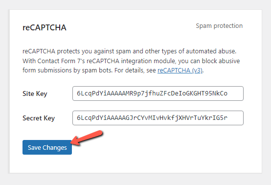 Paste reCAPTCHA Keys